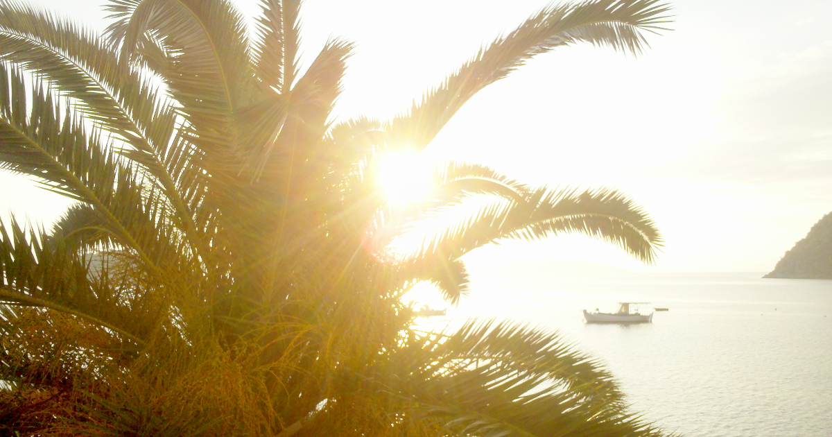 Symbolique du papillon (5) Gourmandise contrastée