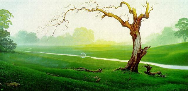 BIVACCO NELLA PALUDE