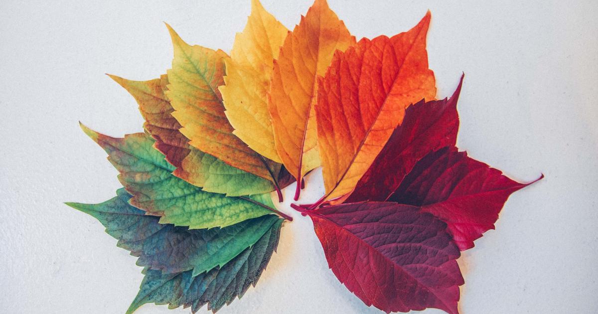 Solstices, équinoxes, distance Terre-Soleil et toutes ces choses pas toujours connues.