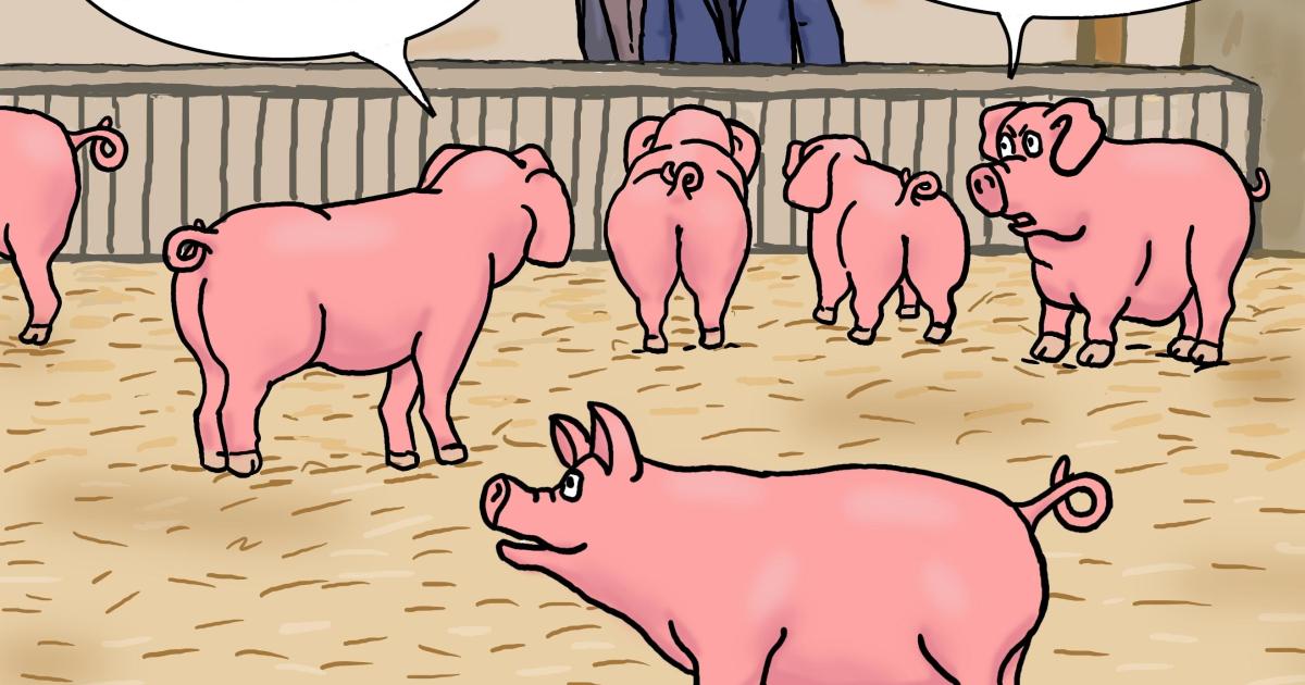 Covid-19 : pas de Salon de l'agriculture !