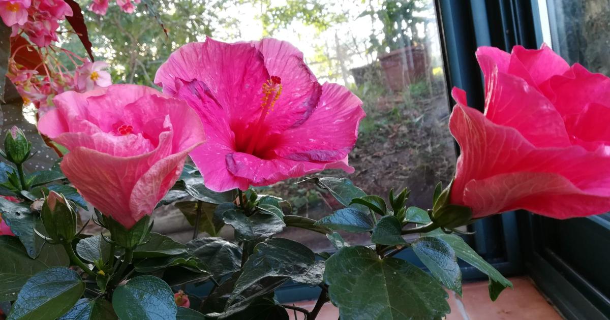 Episode 4 : le séjour 