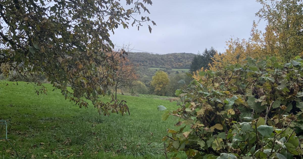 Le jardin du 29 Octobre