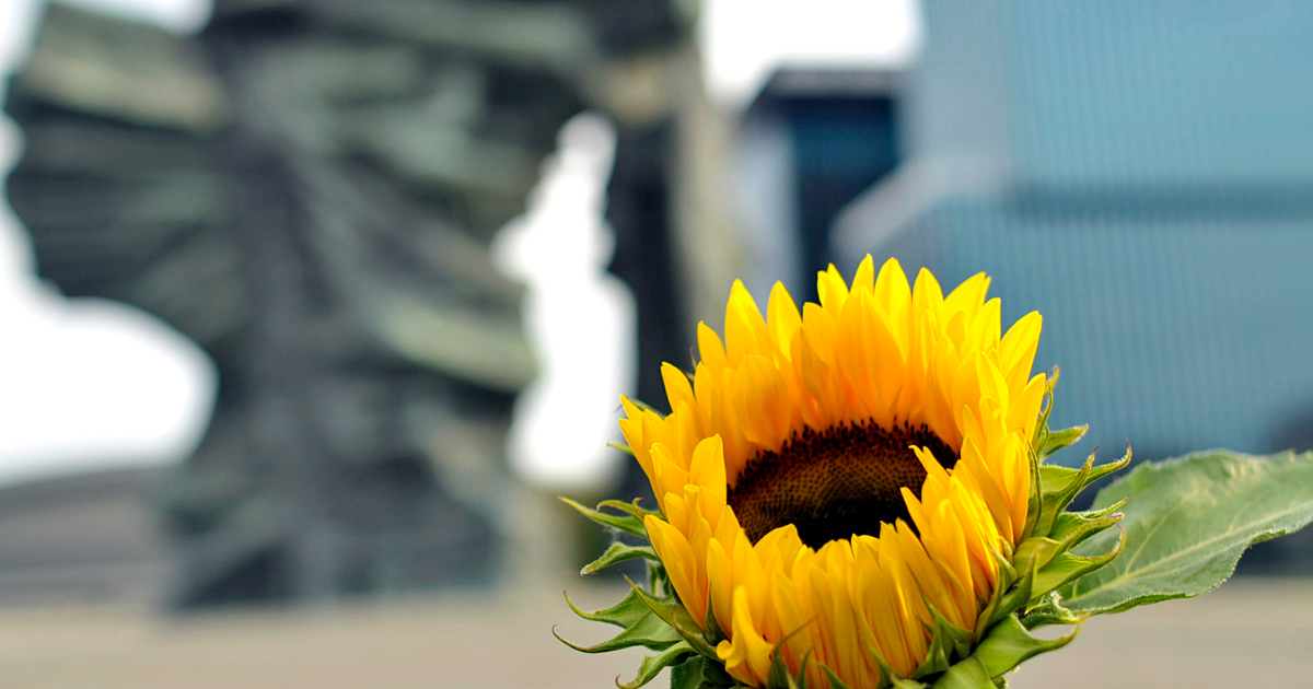 Mini expo photo 4 : Flower power