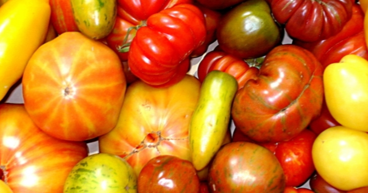 DEBUNKAGE : non, les semences ne sont pas la propriété des grands groupes, NON et NON !!