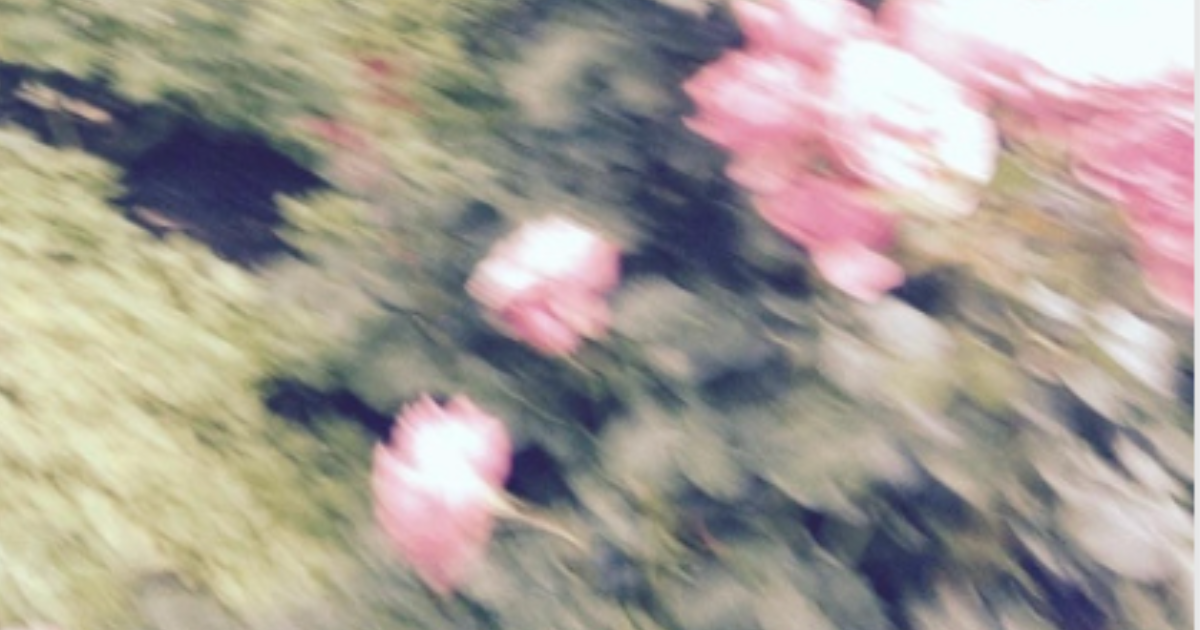 Entre cœur et corps – des capsules qui murmurent à l’oreille