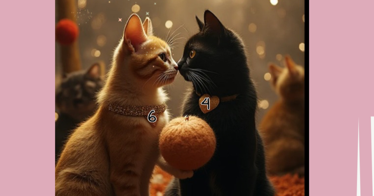 Fripouille et Fléxy : Les cœurs sur la pelote (Partie finale)