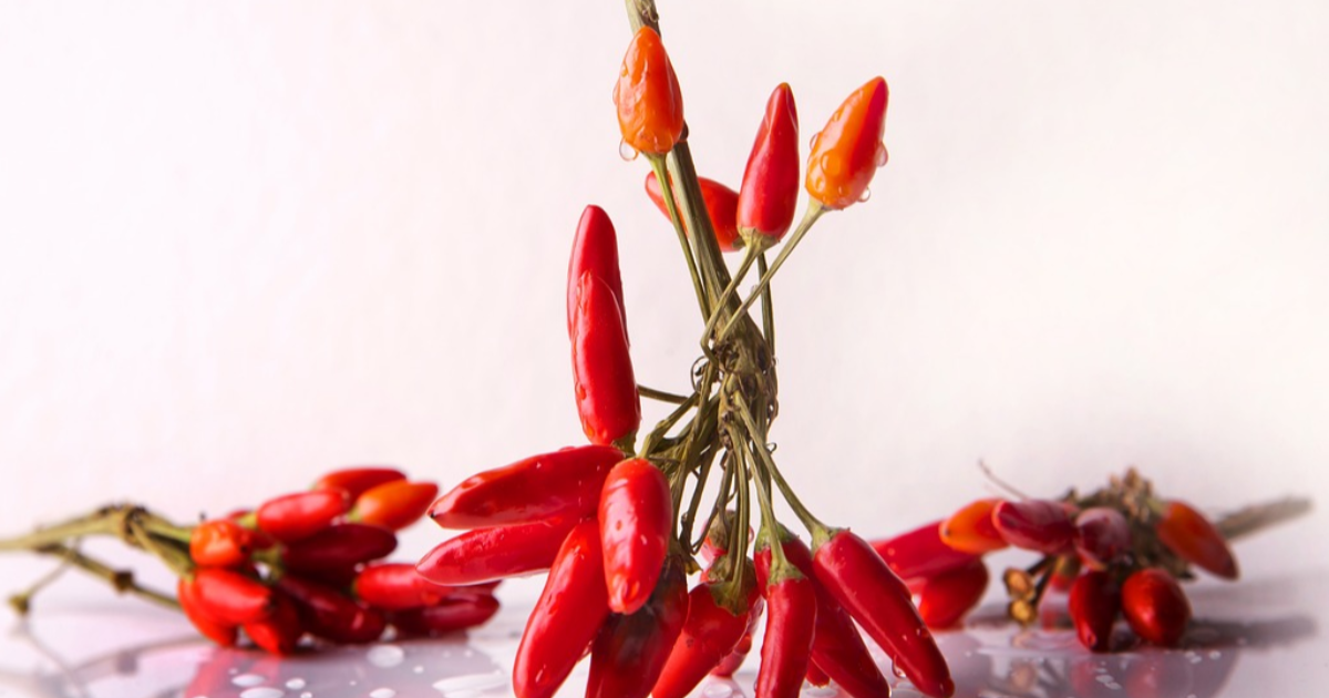 Tabasco