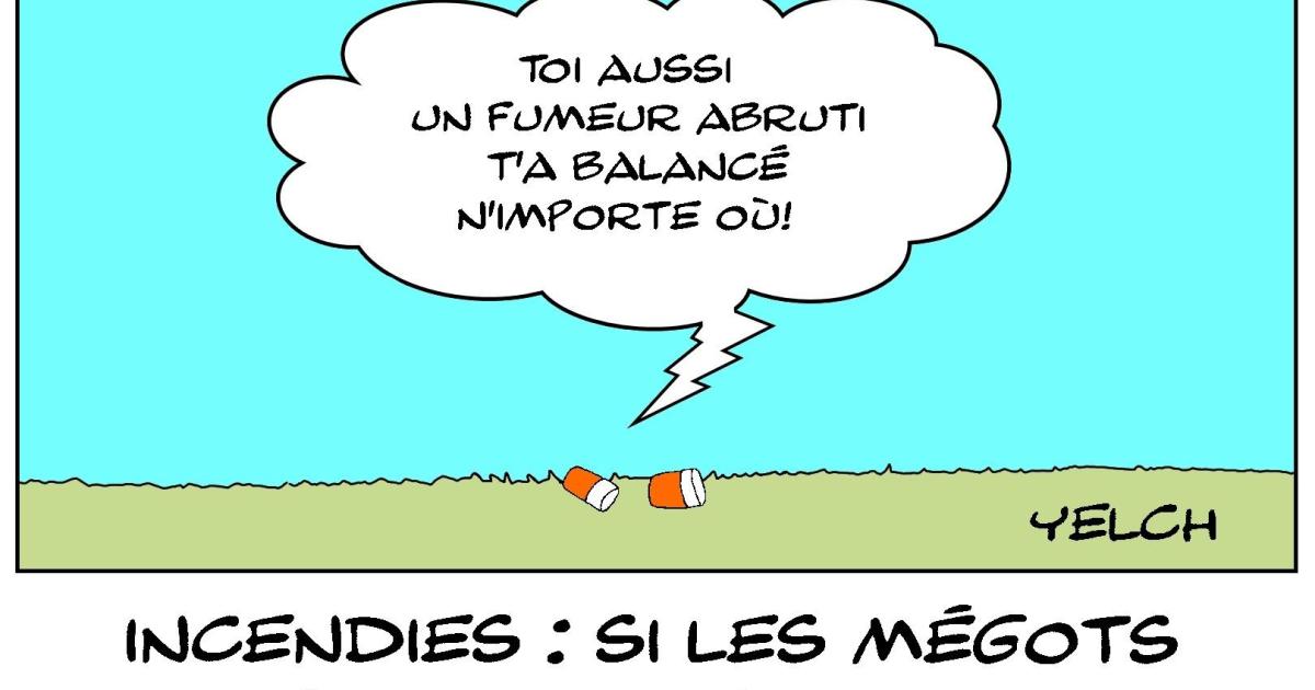 Mégots et fumeur abruti