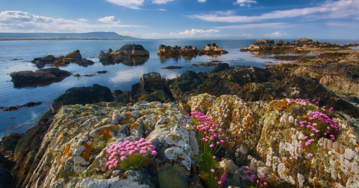 Belle Irlande