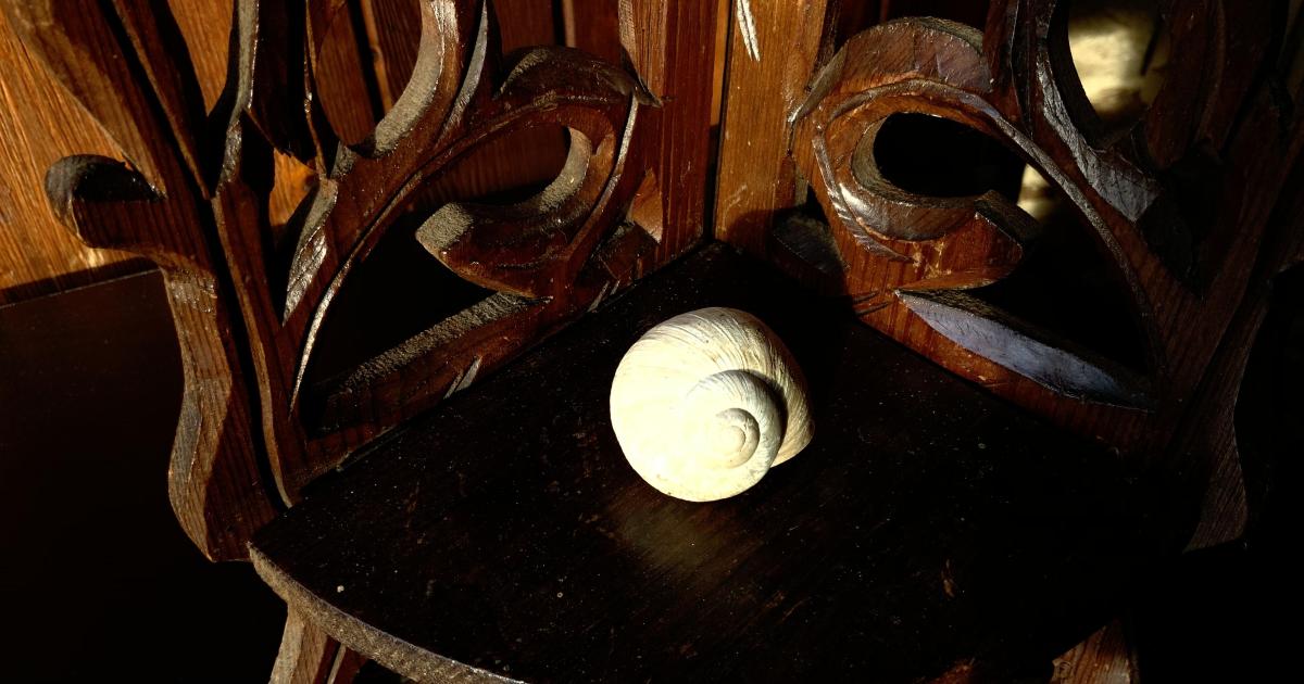 Les Dimanches d'Alexandrine de Césure (3)