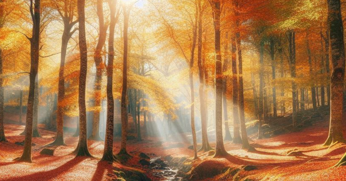 Il était une fois... Brocéliande