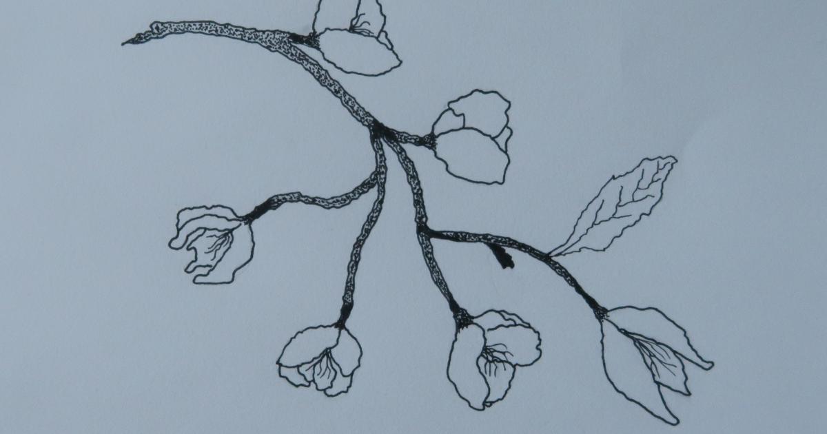 Chapitre 10 - La fin pour le nouveau