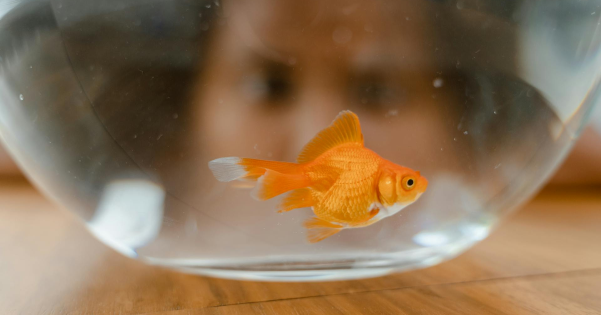 Ceux qui n'ont jamais tort...