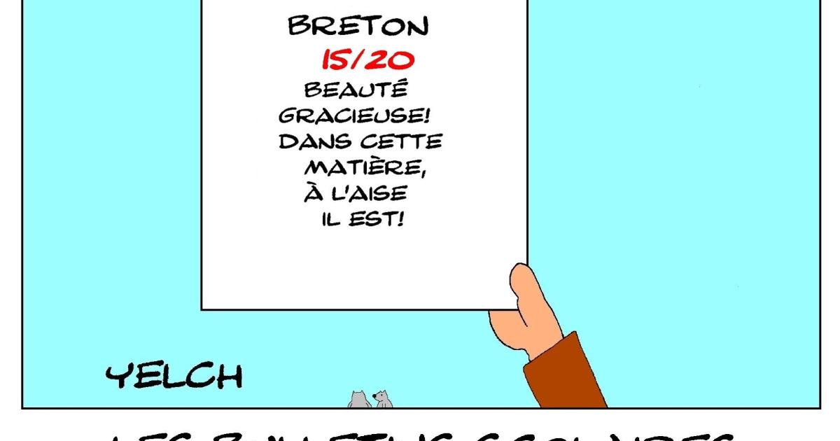 les bulletins scolaires d'Astérix : breton