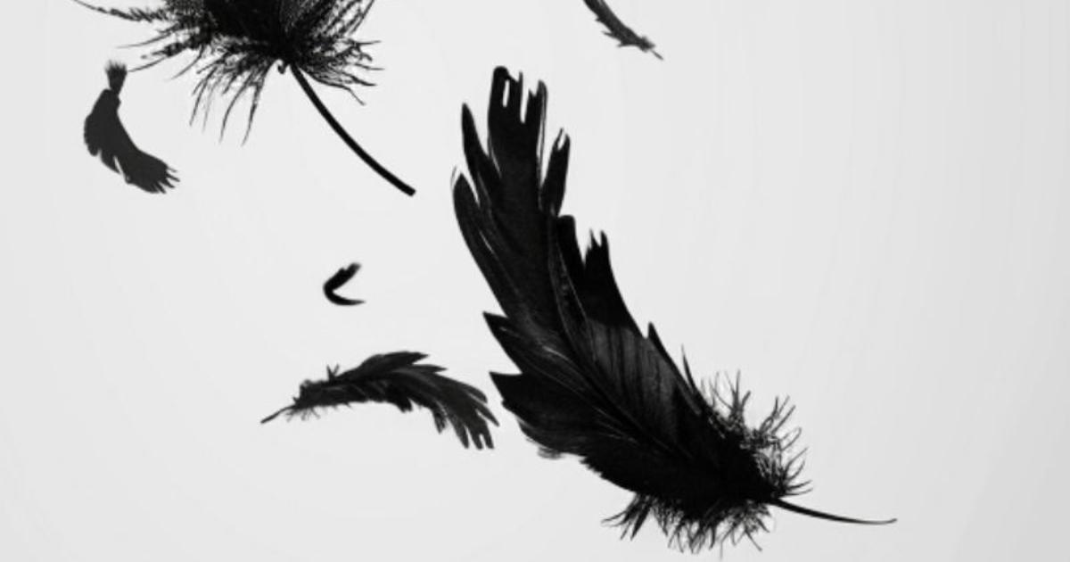 1.Comme une plume au vent