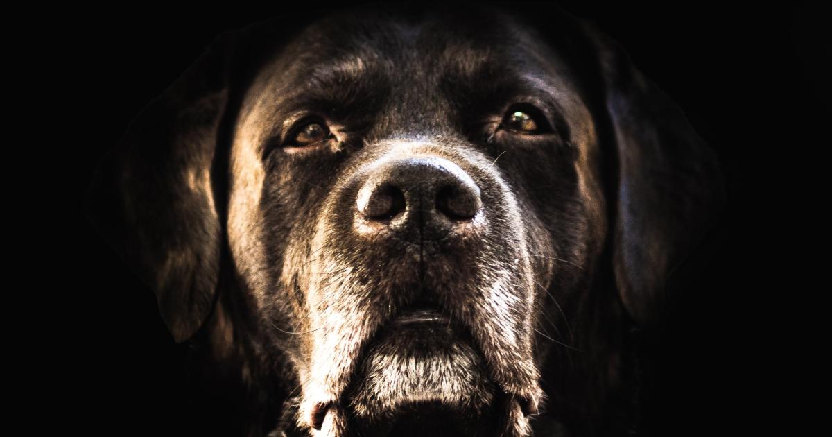 Quelle artiste ! Photo by Alexandre Brondino on Unsplash