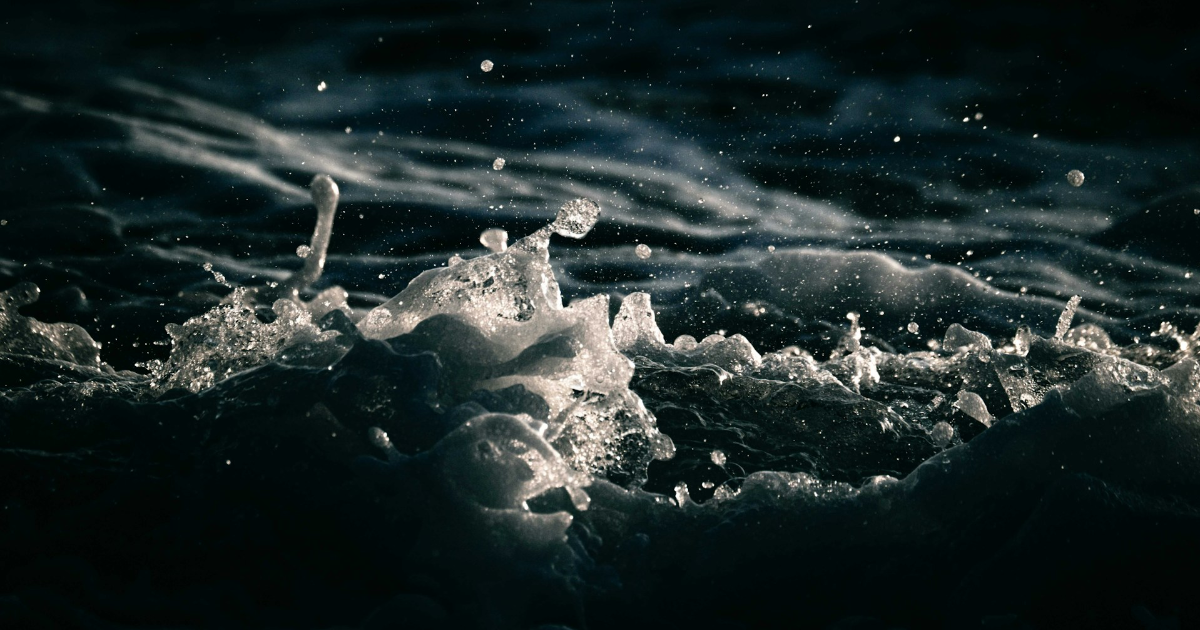 LinkTober2025 : Étoile de mer