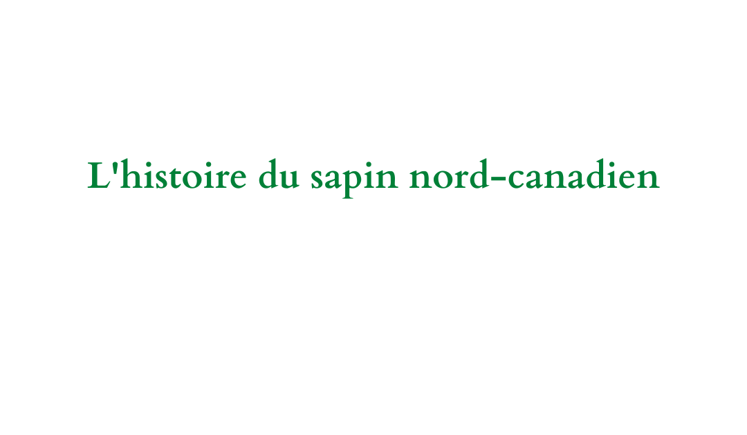 L'histoire du sapin nord-canadien