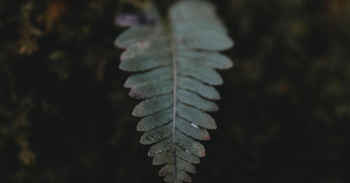  Chapitre 1 La lettre de l'huissier de justice