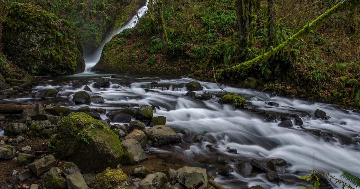 L’enfance de René s’en va et ne revient plus