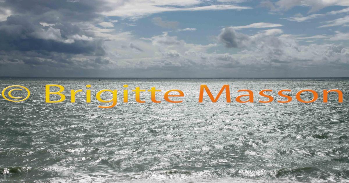 La plage du Havre est déconfinée