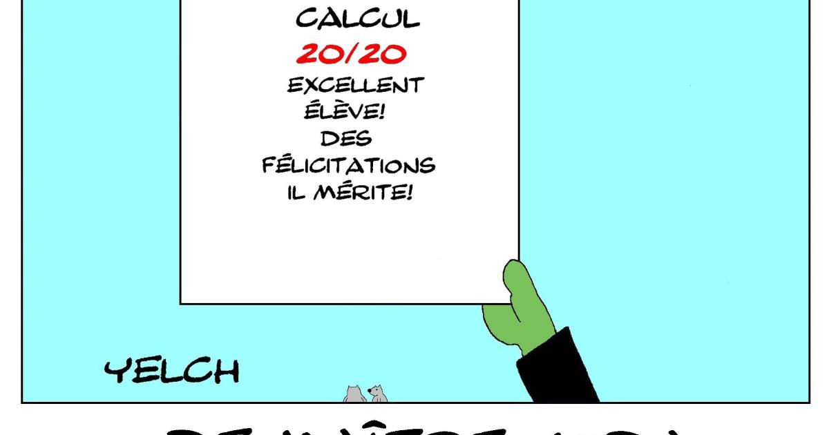 de Maître Yoda les bulletins scolaires : calcul
