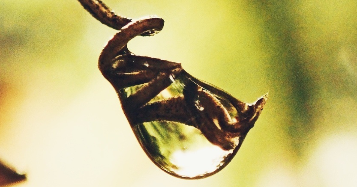 #ConfidencesDAutrice : Fais vriller