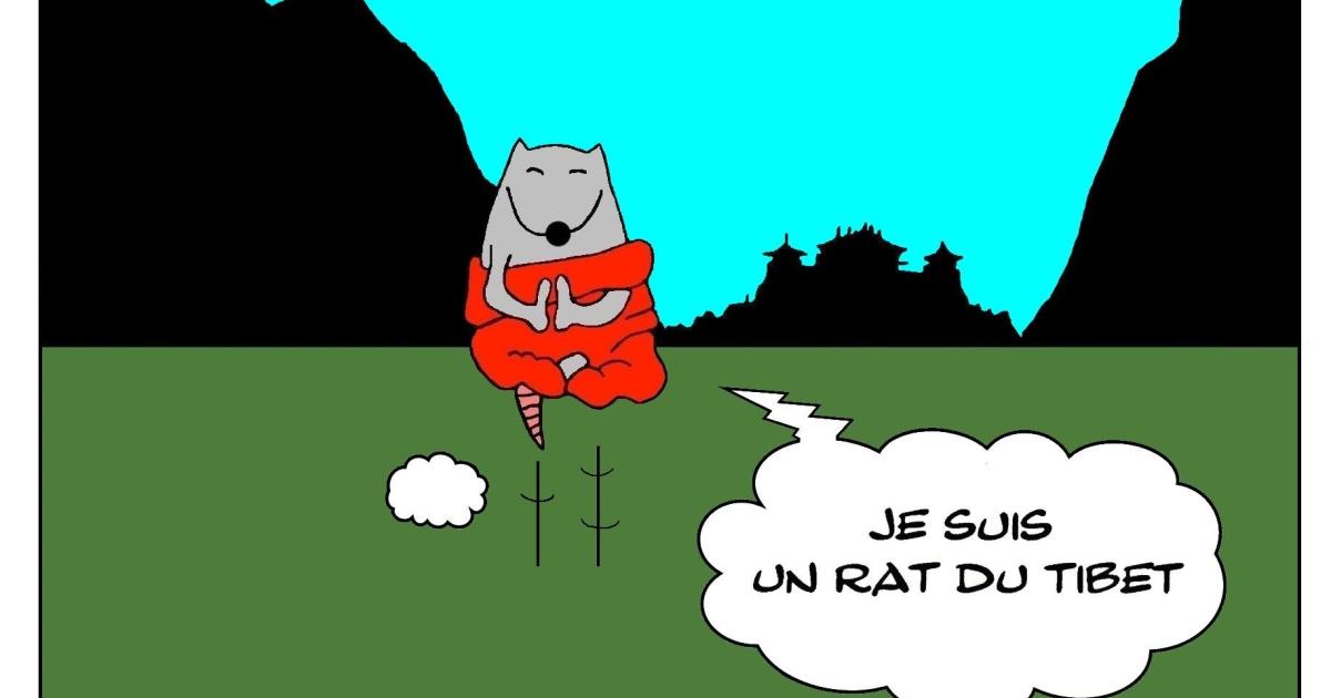 Le rat qui vivait au Tibet