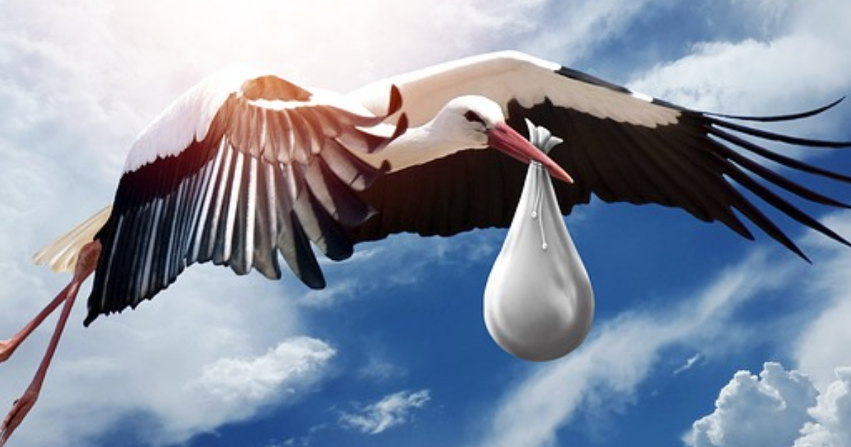 Comment je suis devenue maman - mon combat contre l’infertilité