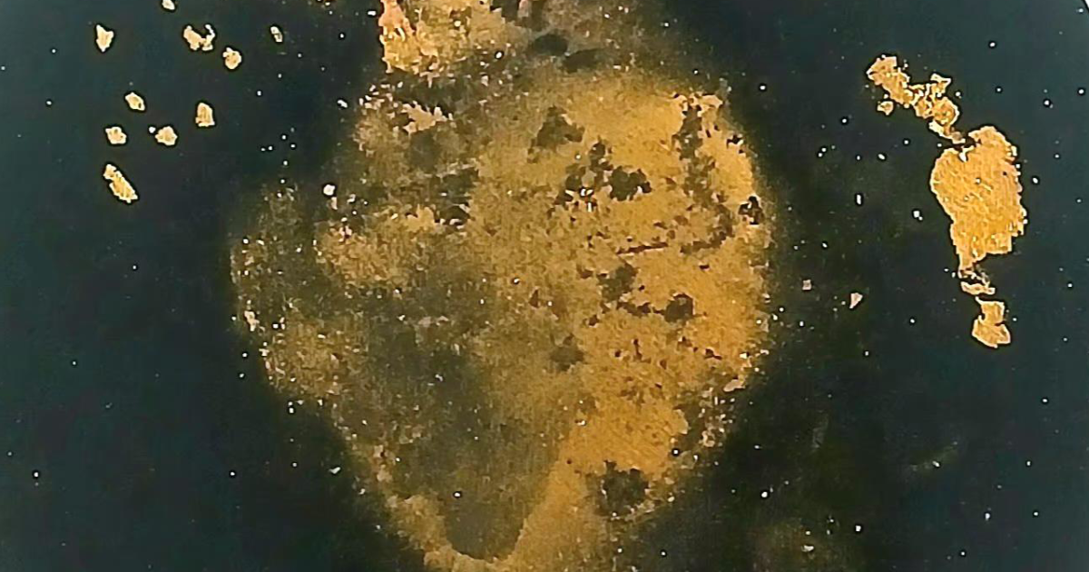 L'Alchimie de la Patience