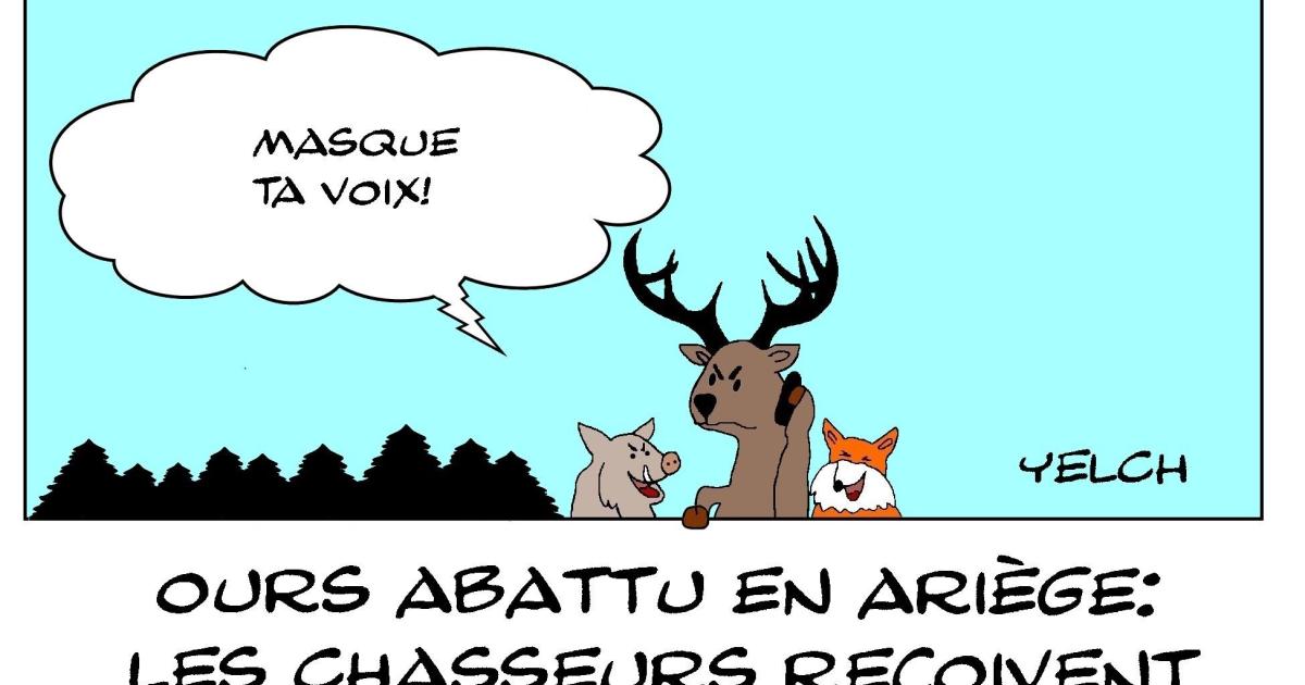 ours abattu en Ariège : les chasseurs menacés de mort