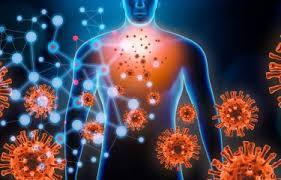 Ainsi à Noël nos vieux ressentiraient-ils le sapin ?