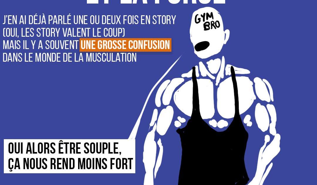 La raideur, la souplesse, et la force