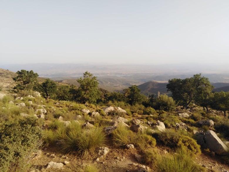 une idée pour un développement durable