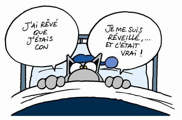 Un porteur sain qui s’ignore: le con porteur sain.