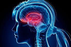 L'humour est un mets de l'esprit qui se goûte et s'apprécie, mais reste incompatible à tout régime sans sel.