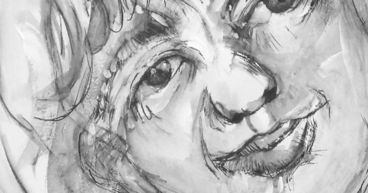 Jeux d'ombre et de lumière 2024