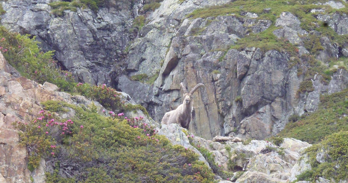 Fragments de réalisme pour moi-même