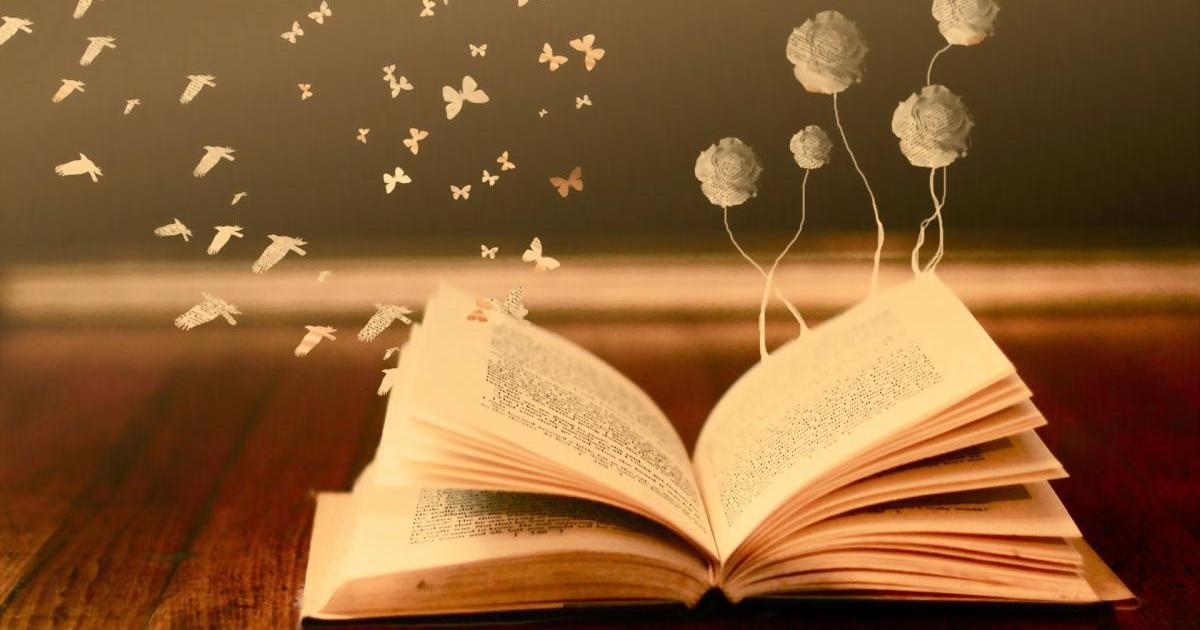 Seeking Glory by Patricia Hamilton Shook