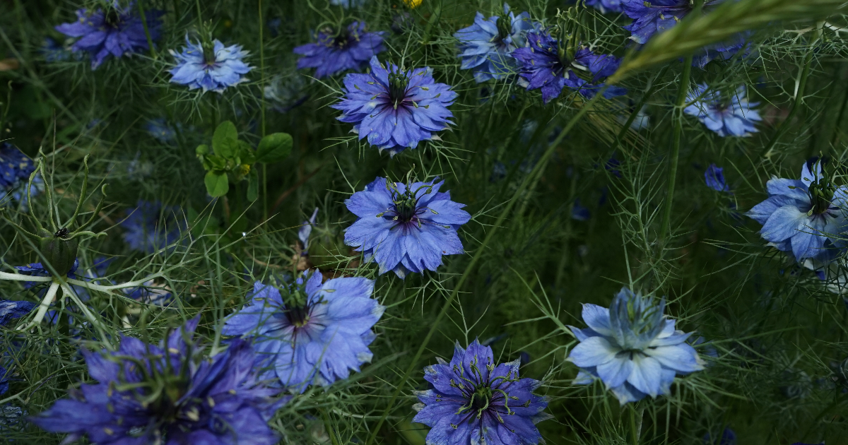 Abysse de mélancolie