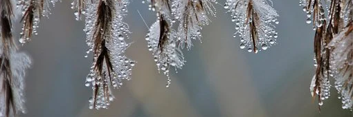 Nature enchanteresse