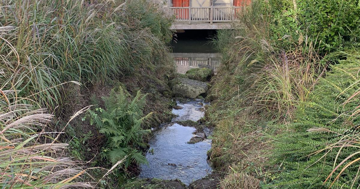 Pourquoi pleures-tu?