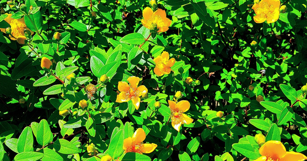 Chapitre 6 : La salle secrète...