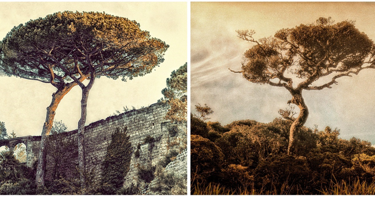 Naturaleza...