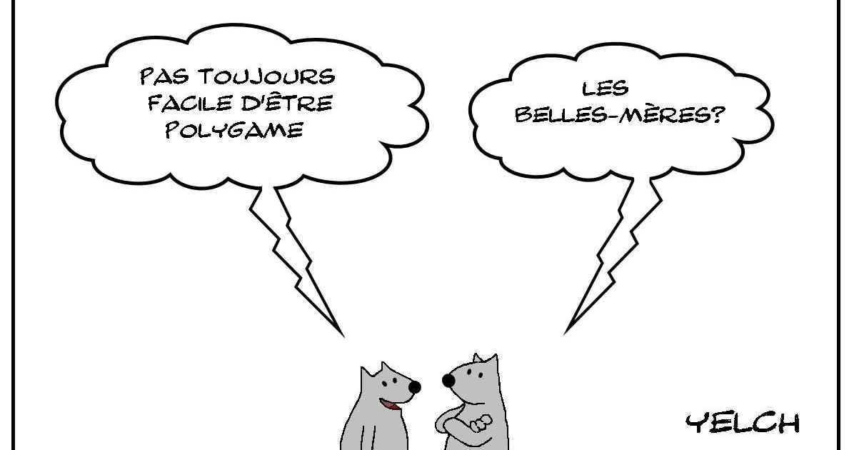 Pas toujours facile d'être un polygame