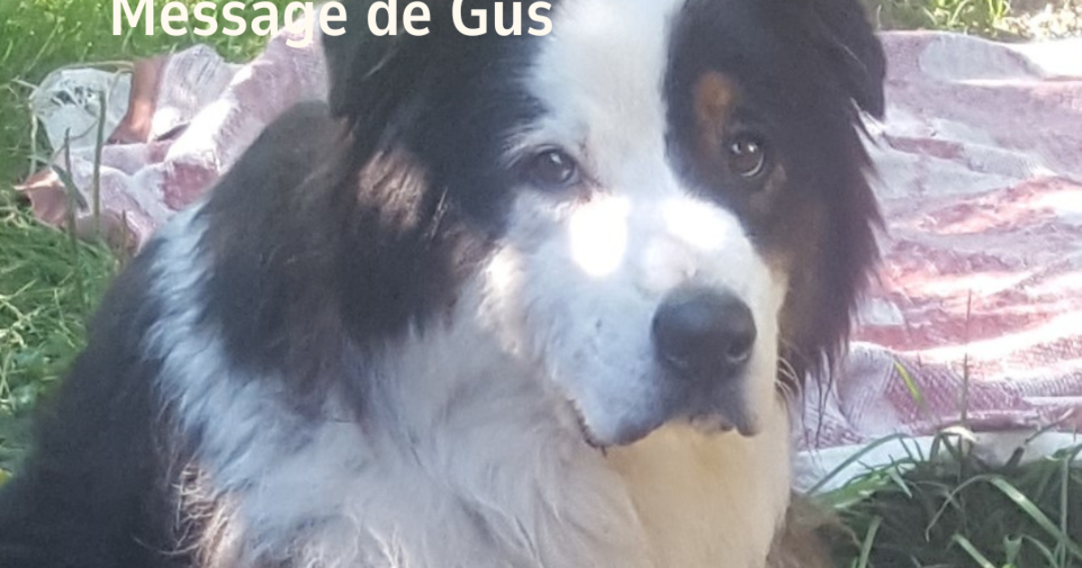 Message de Gus : Dépassement de soi et détachement