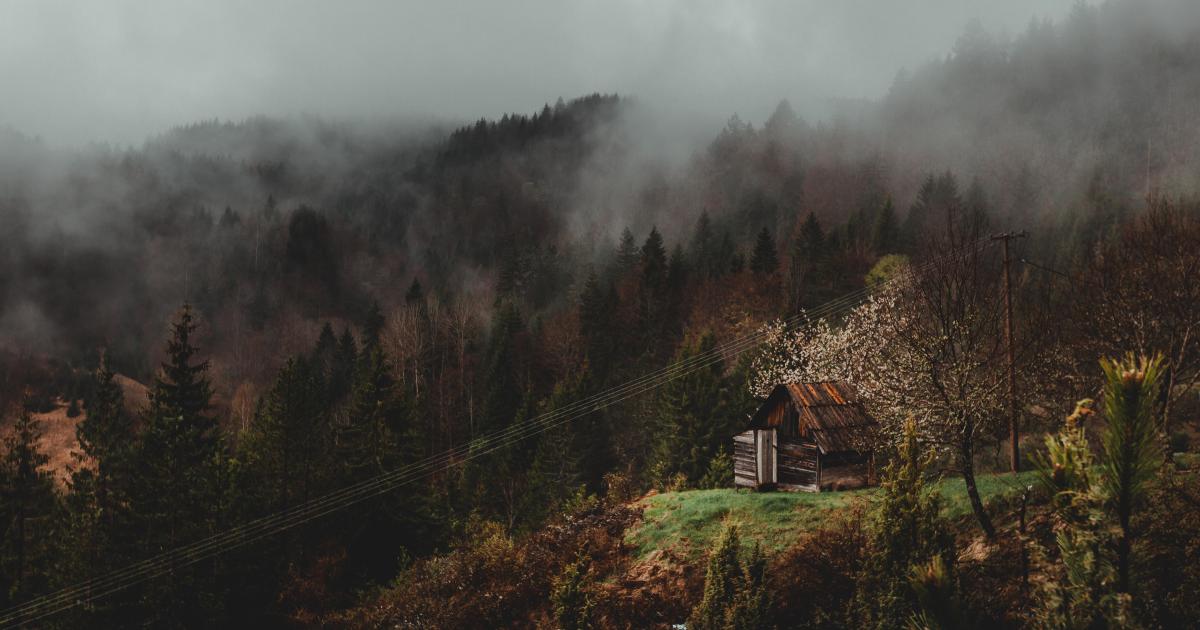 Jean & Jean, souliers de satin : Barbichon