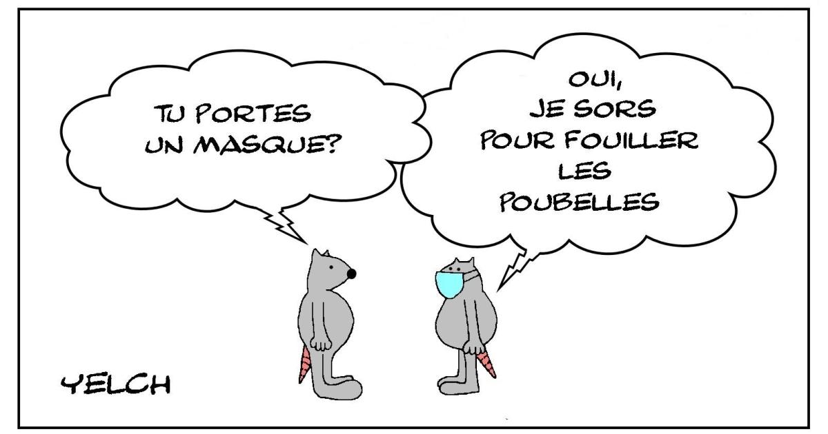 le masque pour fouiller les poubelles