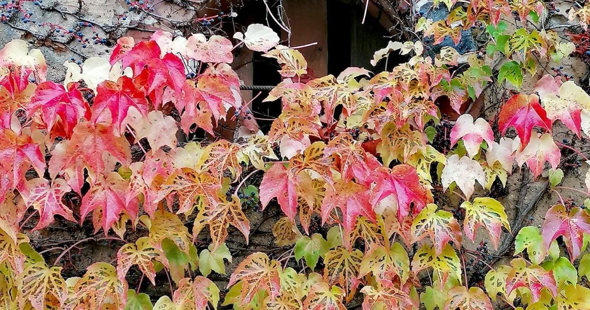 Syndrome de Stockholm (2/2)