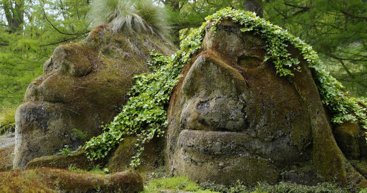 Les trolls des forêts